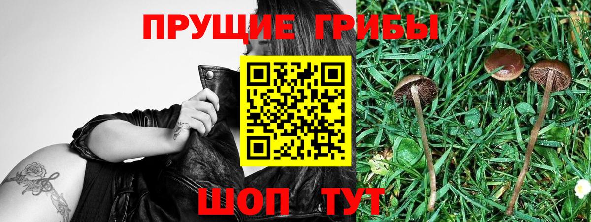 Псилоцибиновые грибы GOLDEN TEACHER Сыктывкар