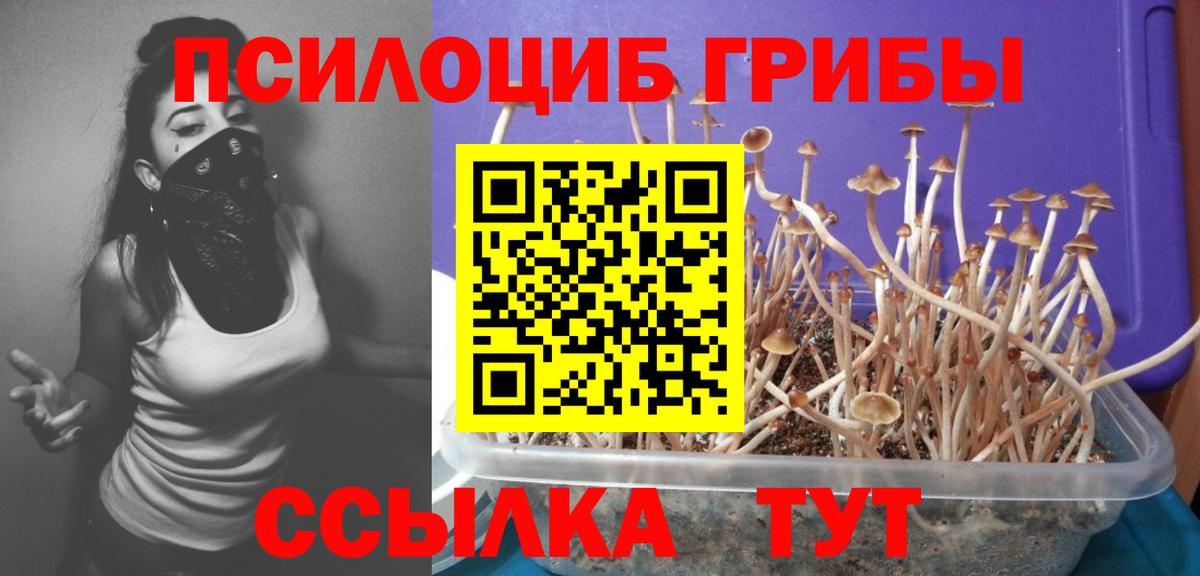 Галлюциногенные грибы мицелий  Галлюциногенные грибы ЛСД  Сыктывкар  Вход с VPN 
