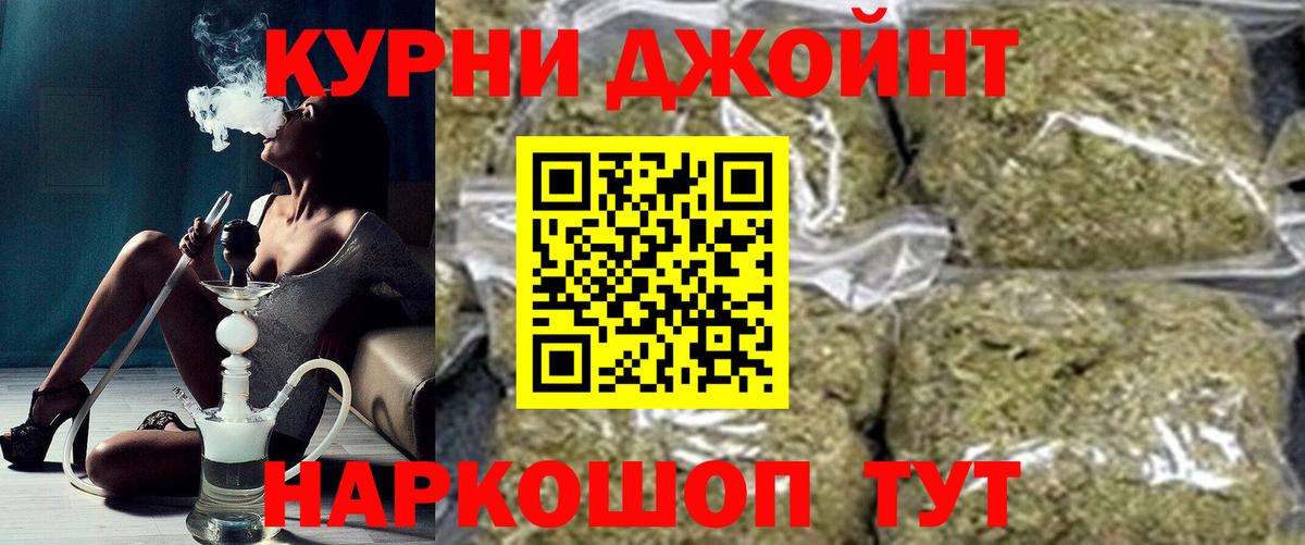 Каннабис сатива Сыктывкар