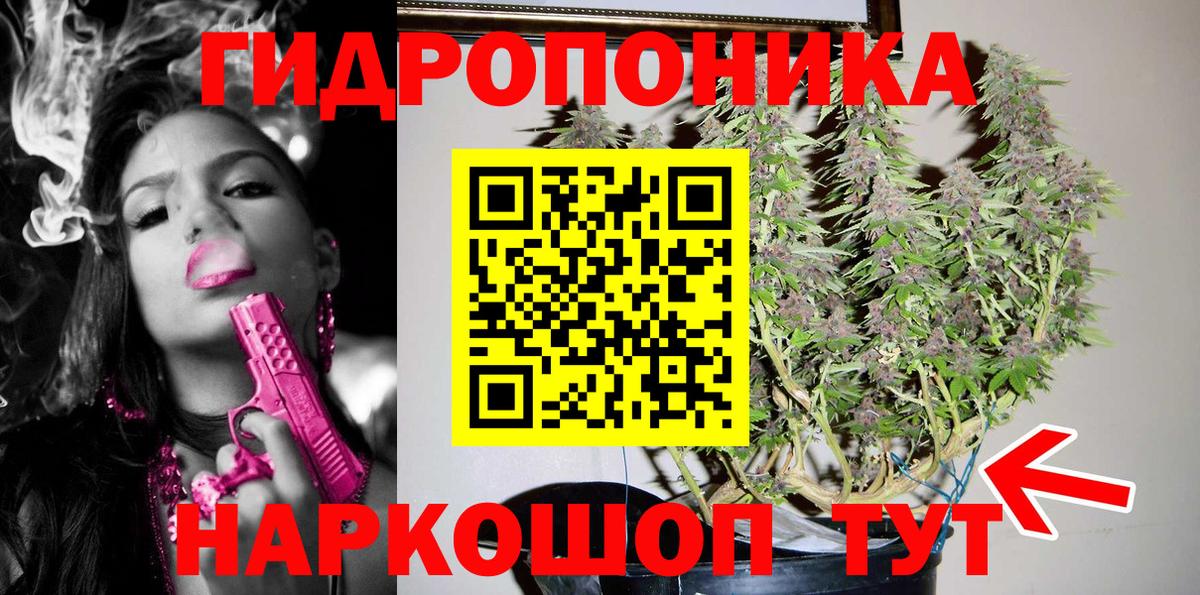 Бошки марихуана конопля  Шишки марихуана тримм  Сыктывкар  Вход с VPN 